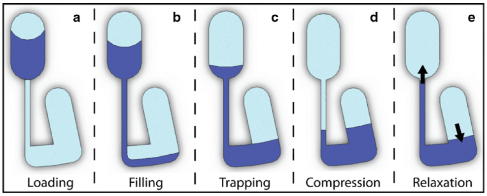 Figure 6. The 5 stages of pneumatic pumping in a CD [3]