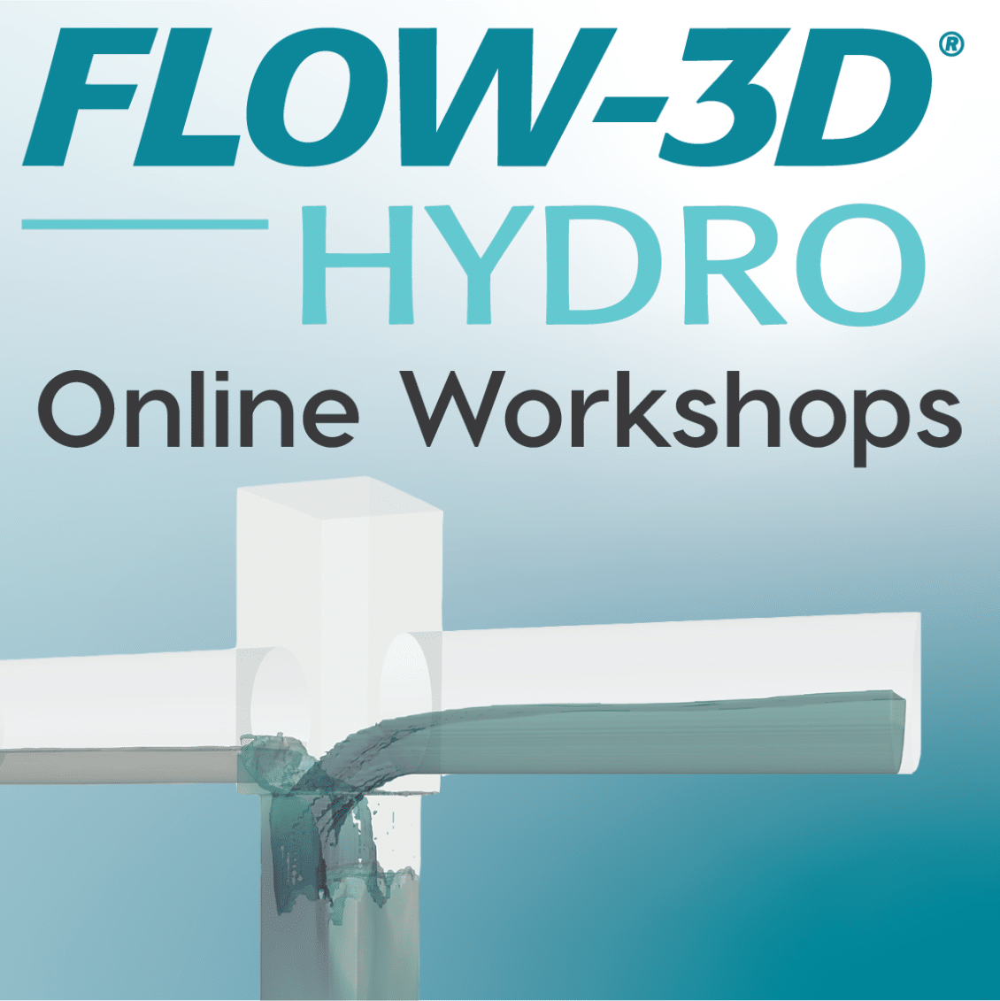 FLOW-3D HYDRO workshops