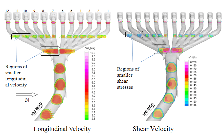 Velocity and shear velocity distribution